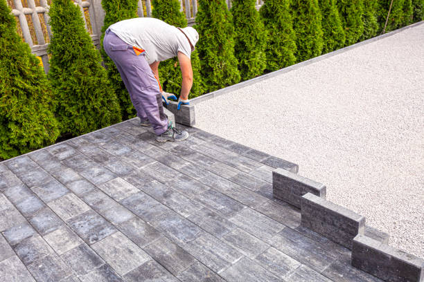 Best Driveway Paving Near Me  in Prosperity, SC